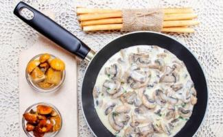 Грибная подлива – вкусное дополнение к любому блюду Грибная подливка из опят