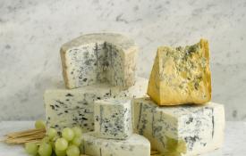 Сыр с плесенью: названия видов и сортов, чем полезен, как правильно есть Сыр с плесенью 6 букв сканворд