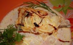 Fish nototenia: cooking recipes