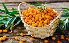 Calorie content of sea buckthorn and sea buckthorn products Sea buckthorn cough for children