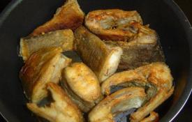 Sladkovodní ryba lenok: jak vařit smaženého lína na pánvi