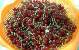 How to make delicious redcurrant compote for the winter: simple and unusual recipes How to make redcurrant compote