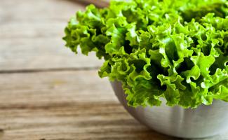 Green salads - tasty and healthy food on your table