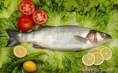 Cod liver: origin, benefits, harm and recipes