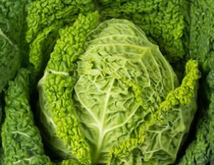 Is it necessary to cut off the lower leaves of cabbage: all 