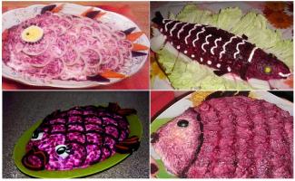 Decorating appetizers and salads step by step!
