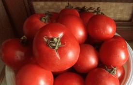 Jak vyrobit rajčatovou šťávu doma