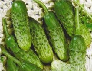 Dream Interpretation: what dreams of cucumbers